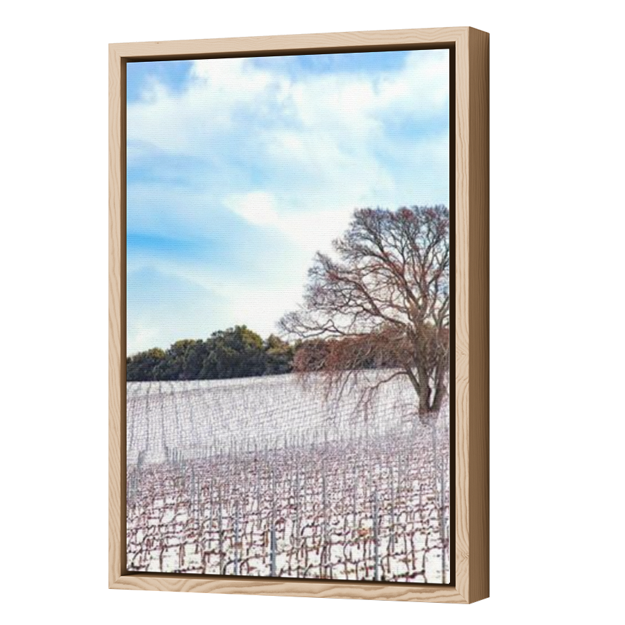 Thumbnail for Canvas - Wood Grain Floating Frame