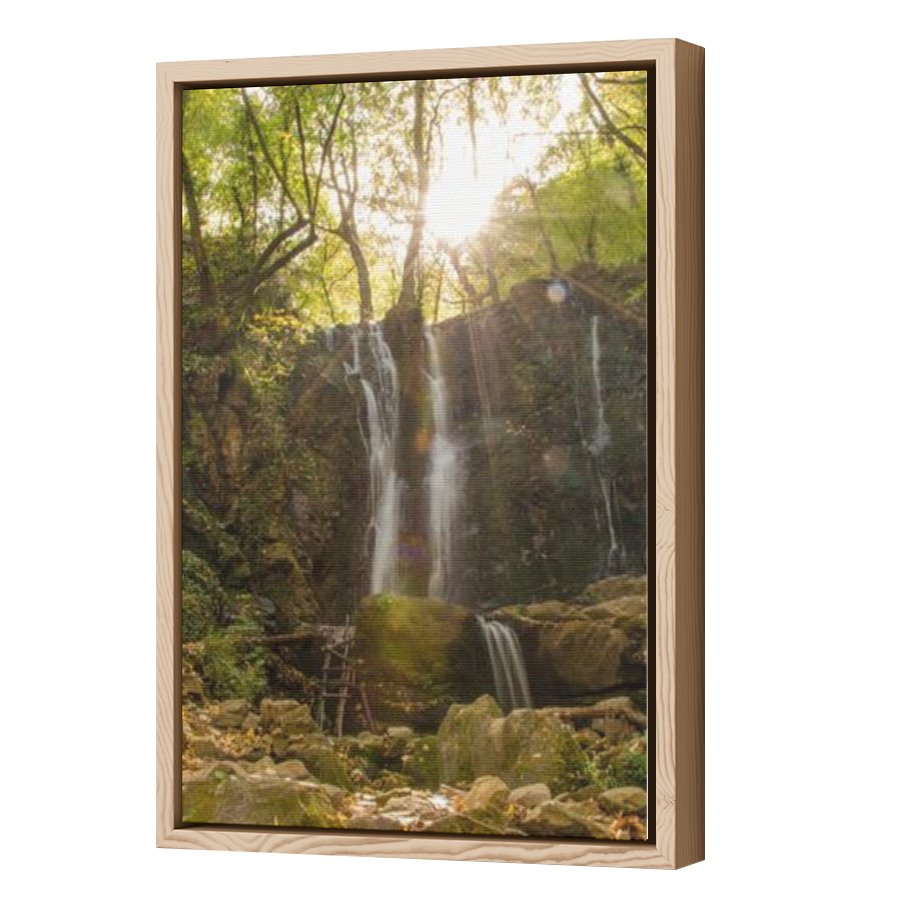 Thumbnail for Canvas - Wood Grain Floating Frame