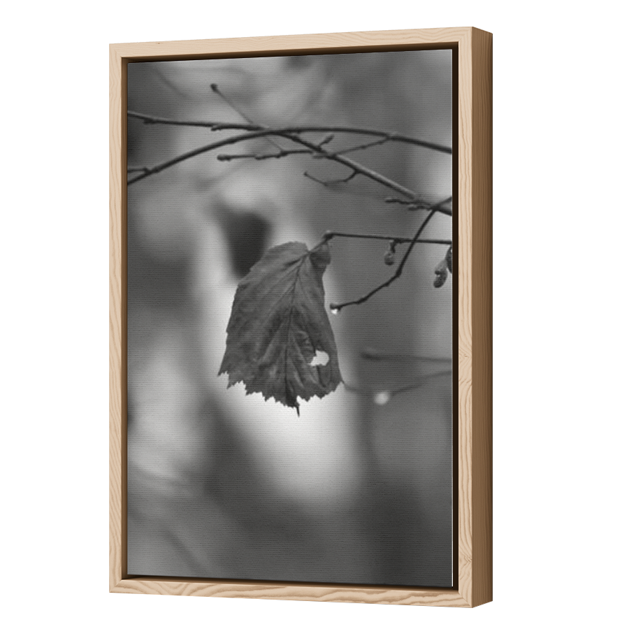 Thumbnail for Canvas - Wood Grain Floating Frame