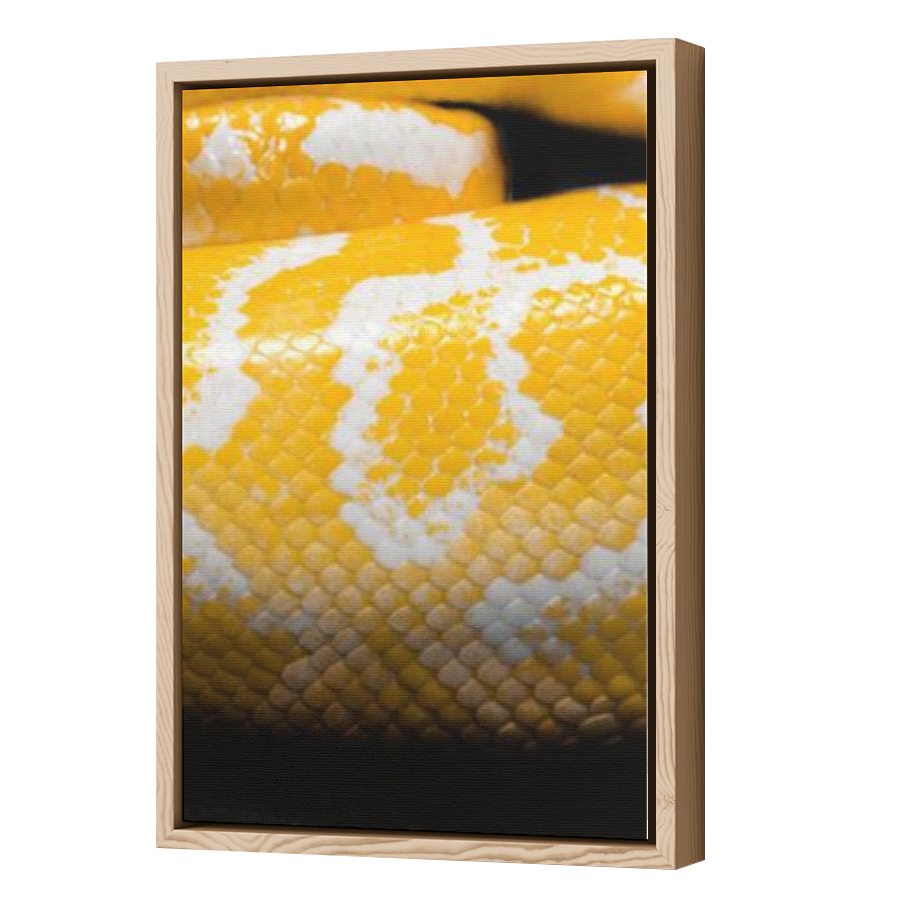 Thumbnail for Canvas - Wood Grain Floating Frame