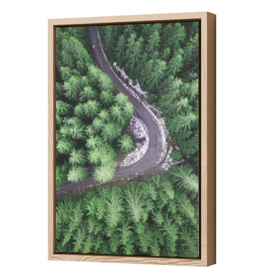 Thumbnail for Canvas - Wood Grain Floating Frame