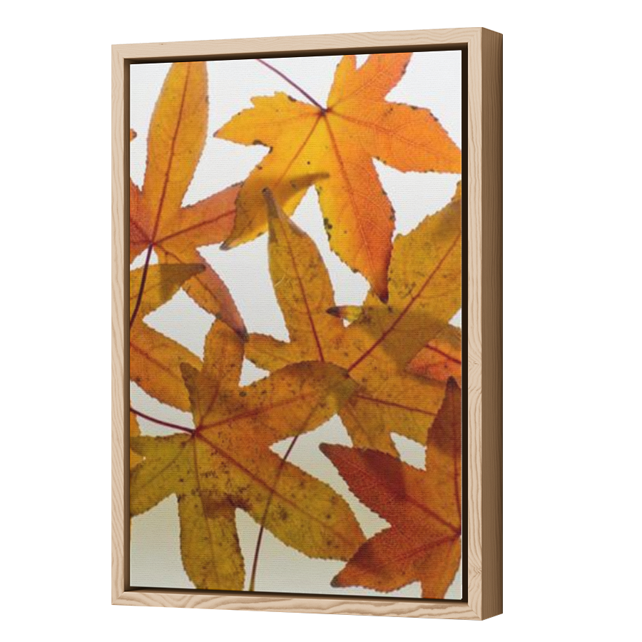 Thumbnail for Canvas - Wood Grain Floating Frame