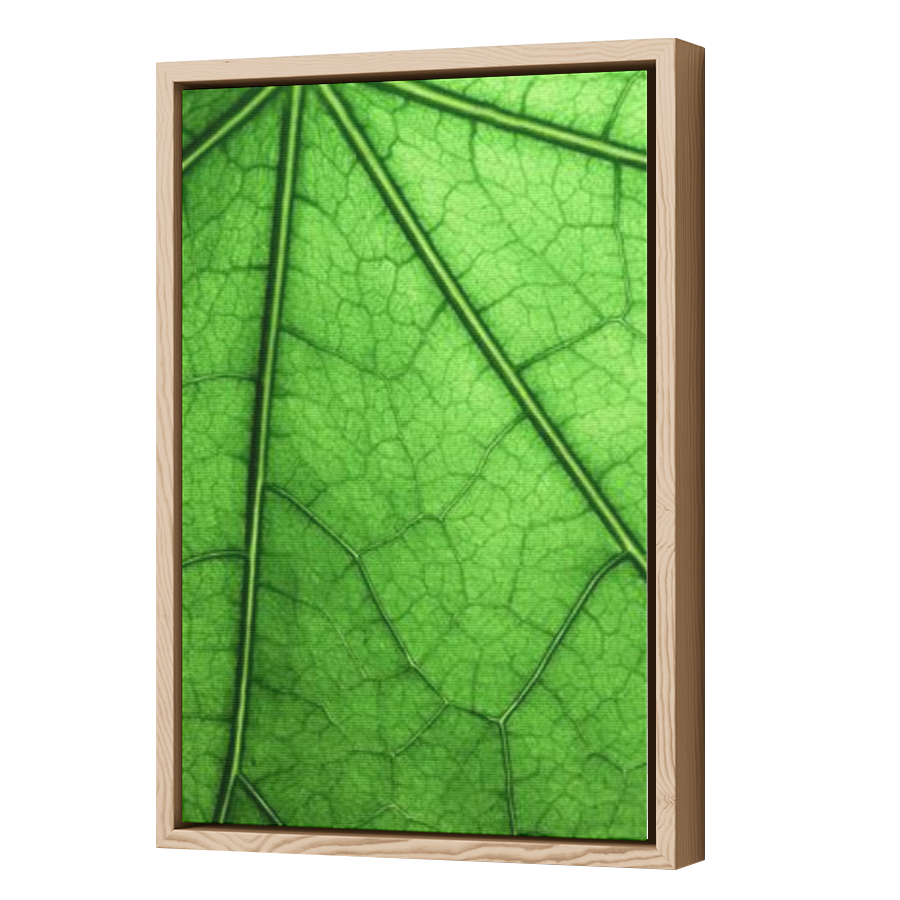 Thumbnail for Canvas - Wood Grain Floating Frame