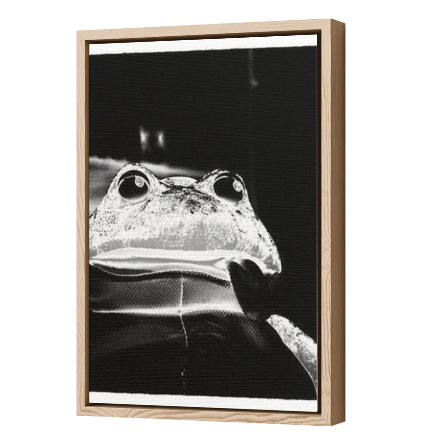 Thumbnail for Canvas - Wood Grain Floating Frame