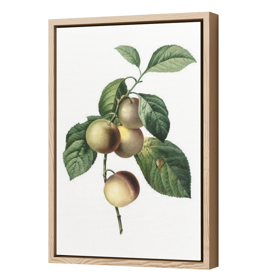 Thumbnail for Canvas - Wood Grain Floating Frame