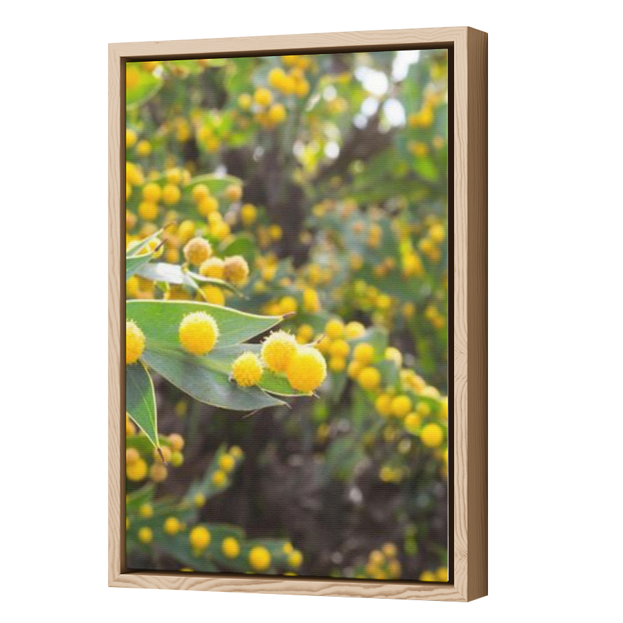 Thumbnail for Canvas - Wood Grain Floating Frame