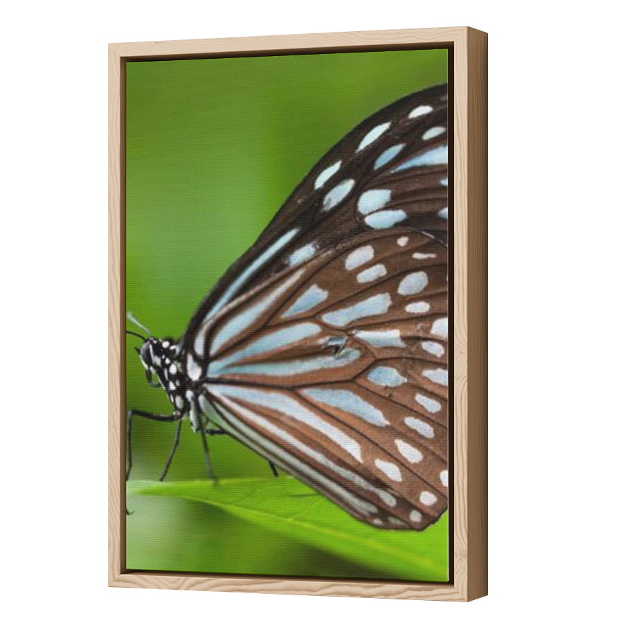 Thumbnail for Canvas - Wood Grain Floating Frame