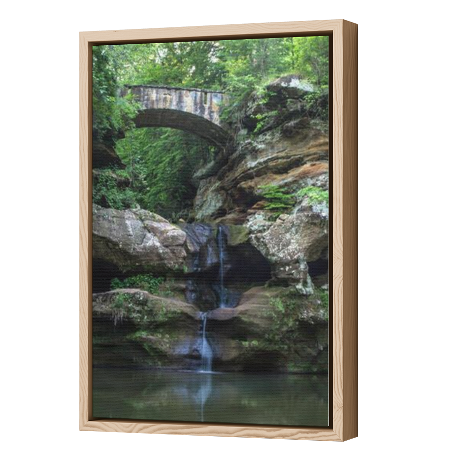 Thumbnail for Canvas - Wood Grain Floating Frame
