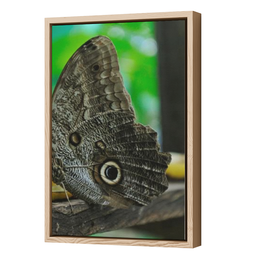 Thumbnail for Canvas - Wood Grain Floating Frame