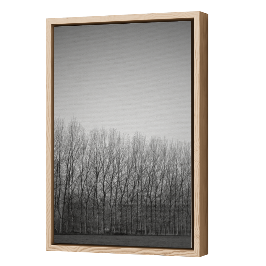 Thumbnail for Canvas - Wood Grain Floating Frame