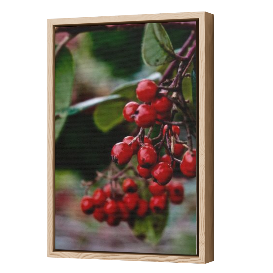 Thumbnail for Canvas - Wood Grain Floating Frame