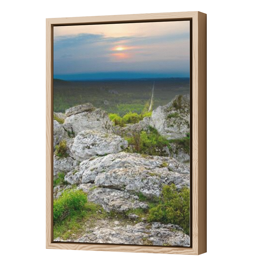 Thumbnail for Canvas - Wood Grain Floating Frame
