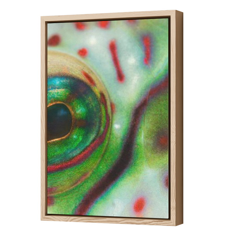 Thumbnail for Canvas - Wood Grain Floating Frame