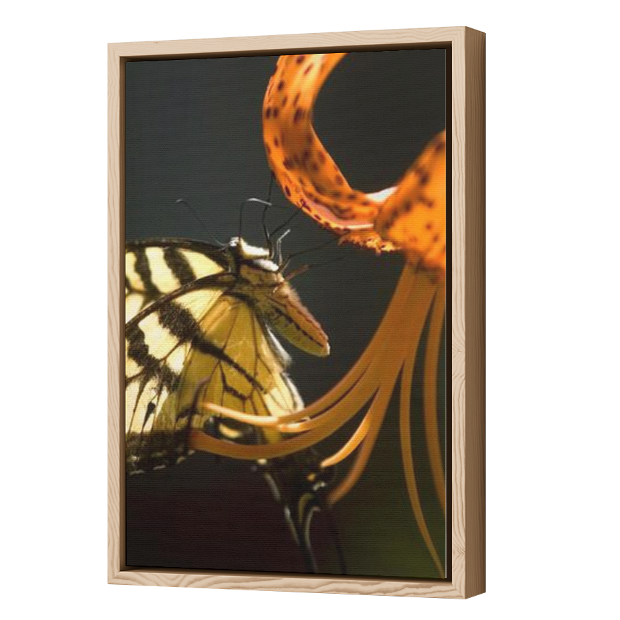 Thumbnail for Canvas - Wood Grain Floating Frame