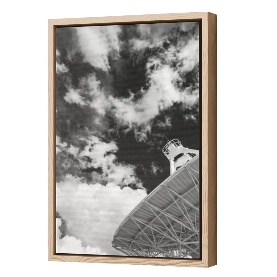 Thumbnail for Canvas - Wood Grain Floating Frame
