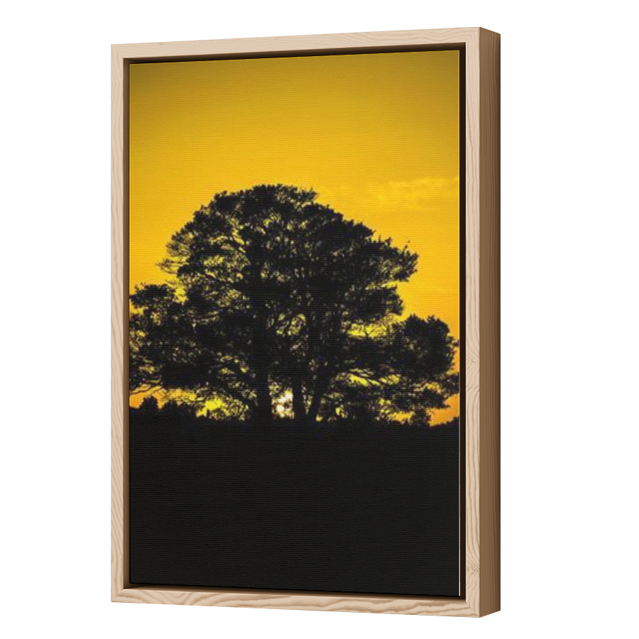 Thumbnail for Canvas - Wood Grain Floating Frame