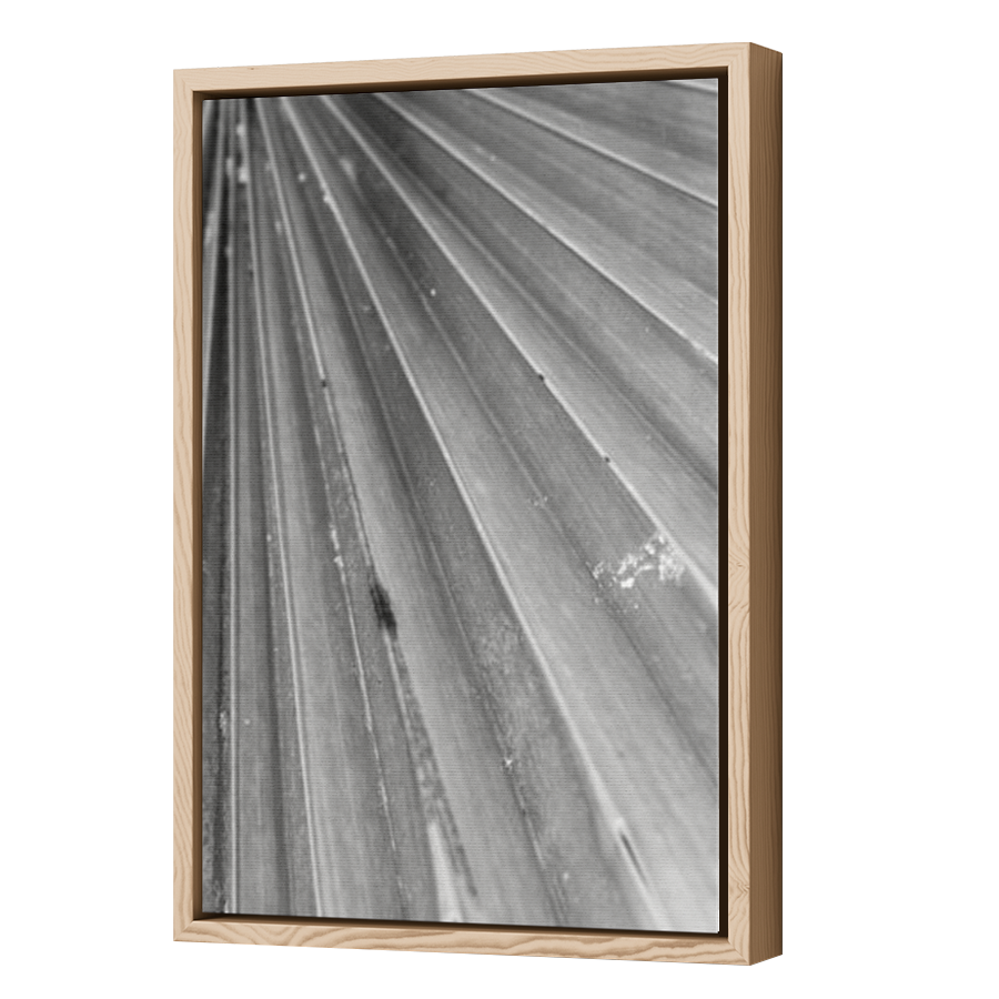 Thumbnail for Canvas - Wood Grain Floating Frame
