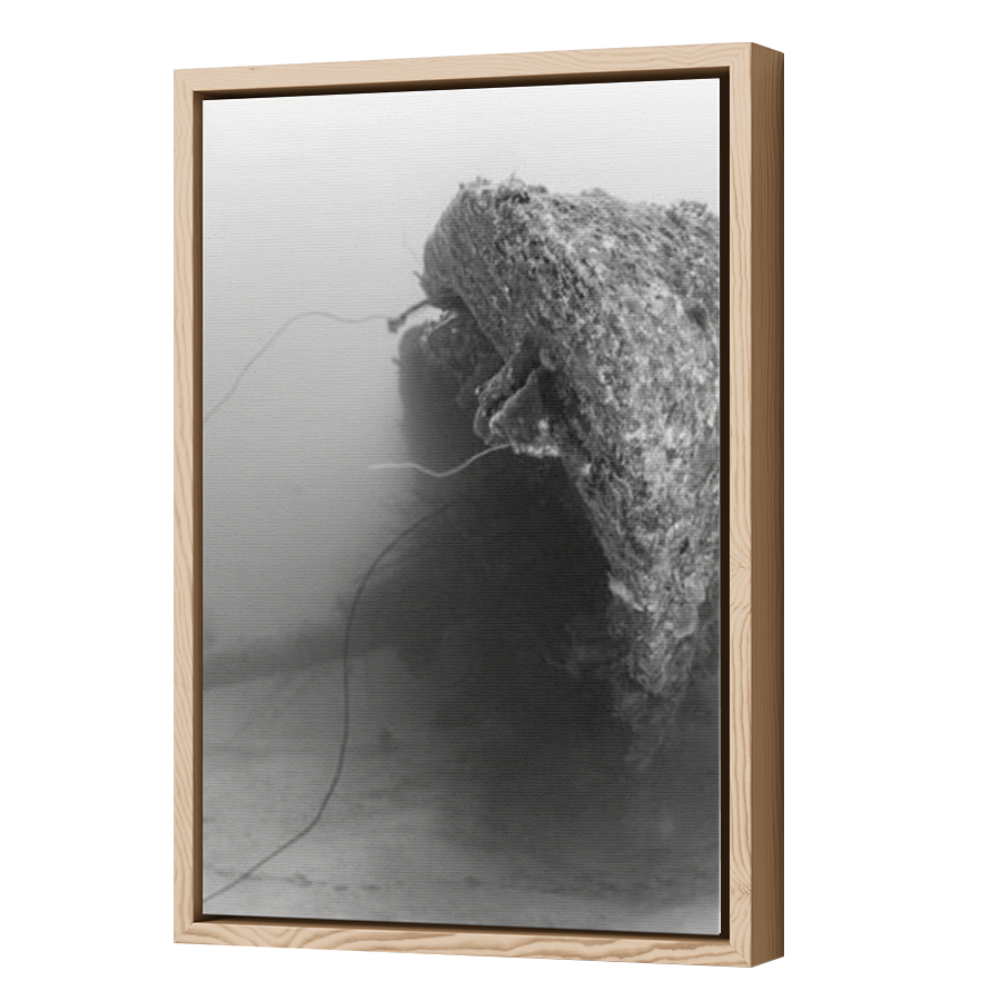 Thumbnail for Canvas - Wood Grain Floating Frame