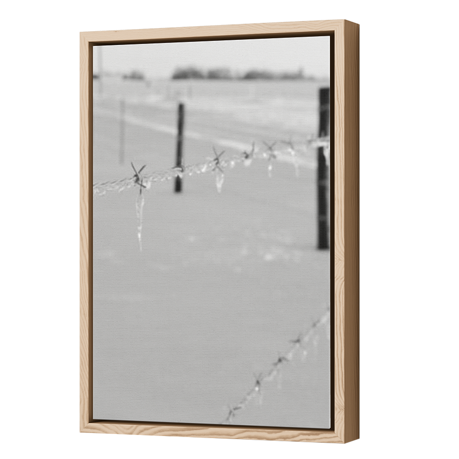 Thumbnail for Canvas - Wood Grain Floating Frame