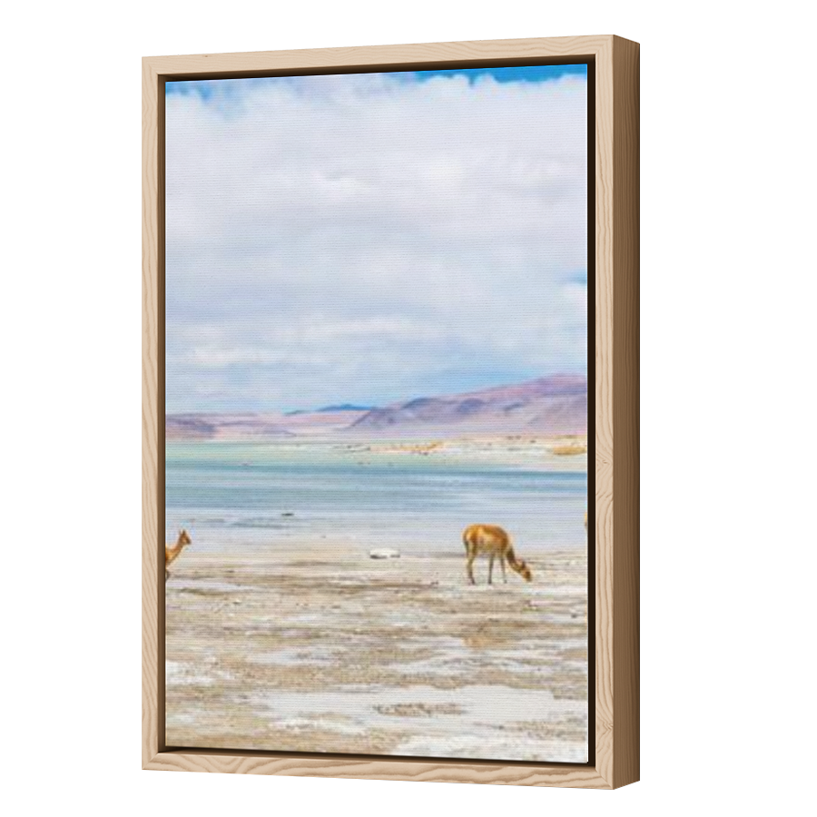 Thumbnail for Canvas - Wood Grain Floating Frame