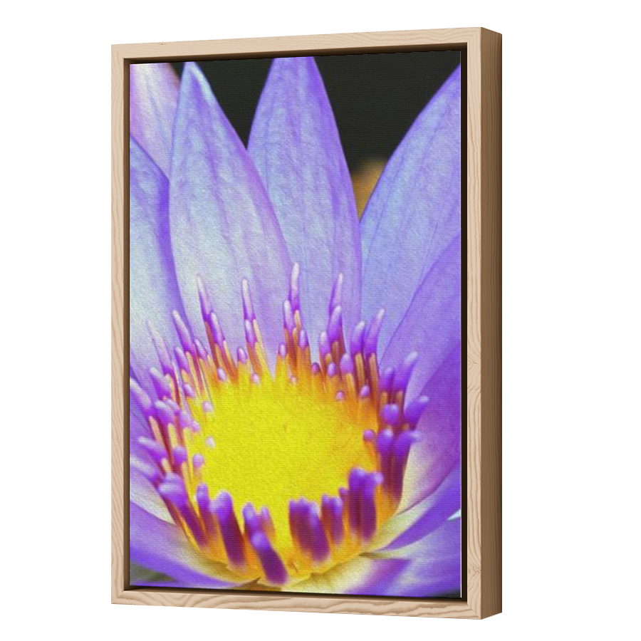Thumbnail for Canvas - Wood Grain Floating Frame