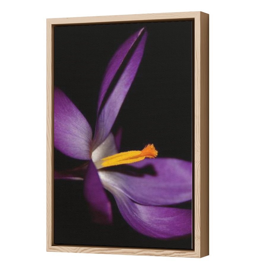 Thumbnail for Canvas - Wood Grain Floating Frame