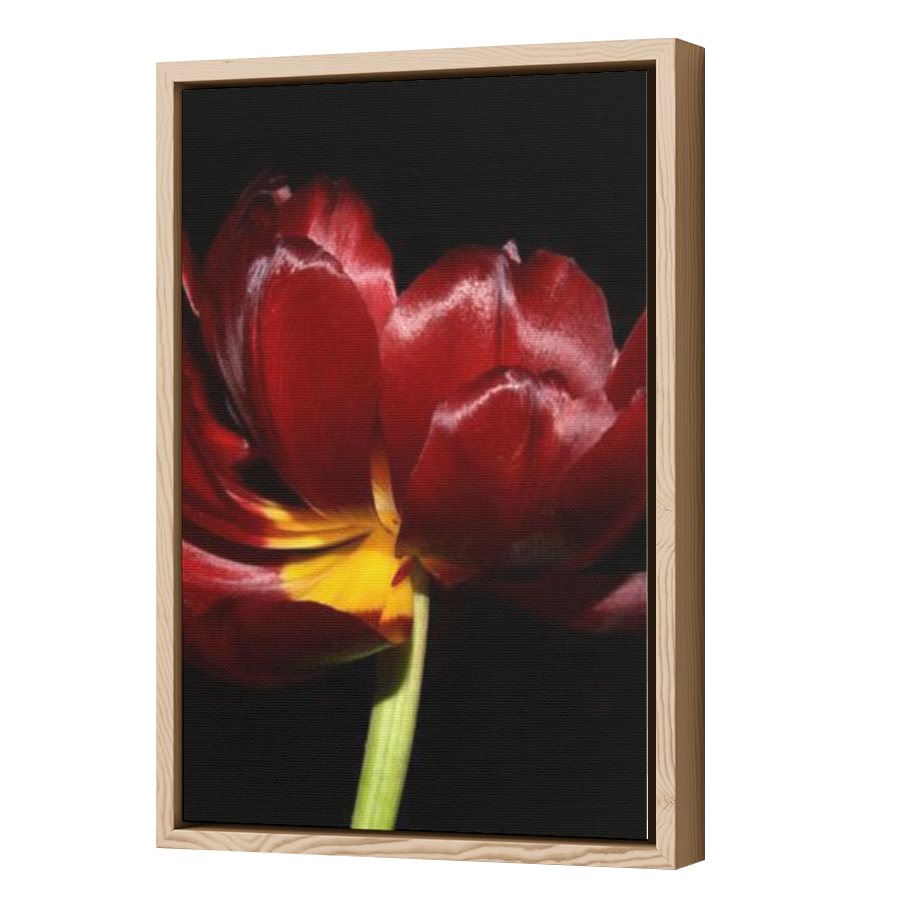 Thumbnail for Canvas - Wood Grain Floating Frame