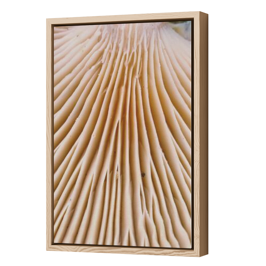 Thumbnail for Canvas - Wood Grain Floating Frame