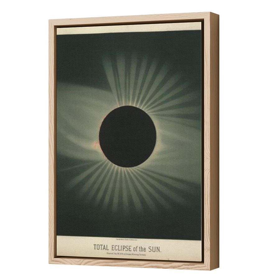 Thumbnail for Canvas - Wood Grain Floating Frame