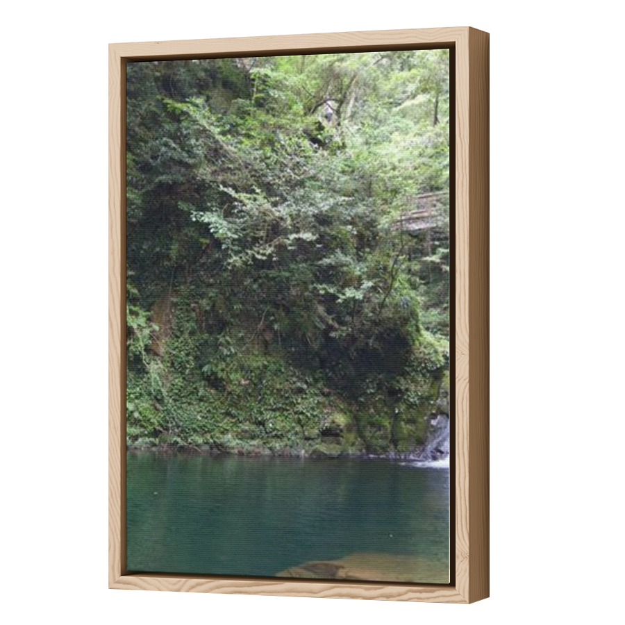 Thumbnail for Canvas - Wood Grain Floating Frame