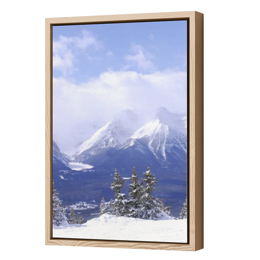 Thumbnail for Canvas - Wood Grain Floating Frame