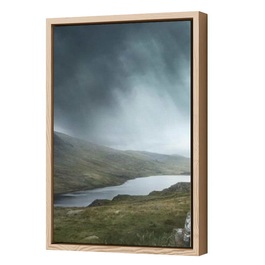 Thumbnail for Canvas - Wood Grain Floating Frame