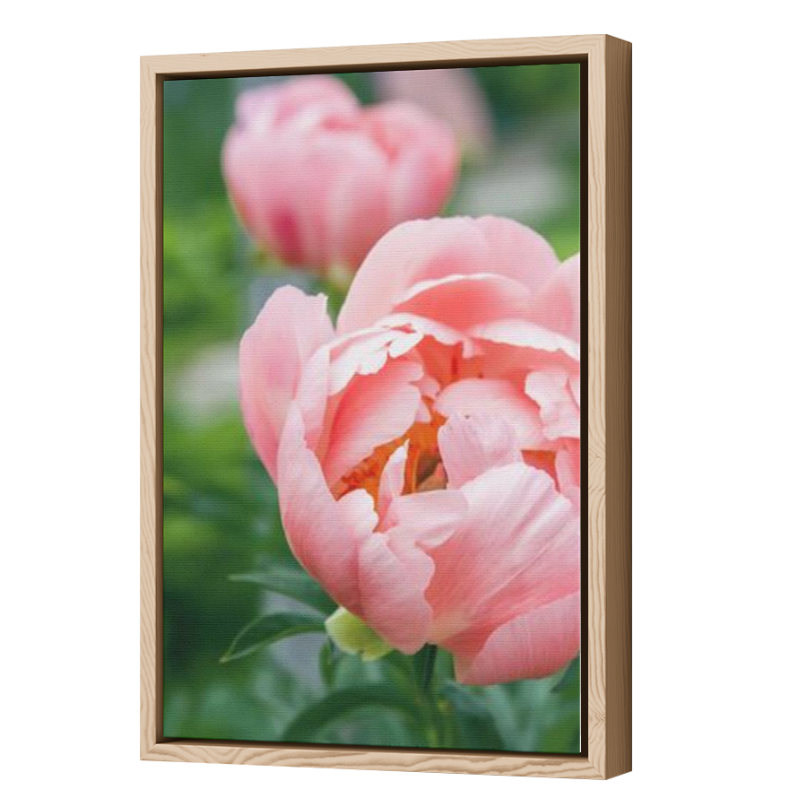 Thumbnail for Canvas - Wood Grain Floating Frame