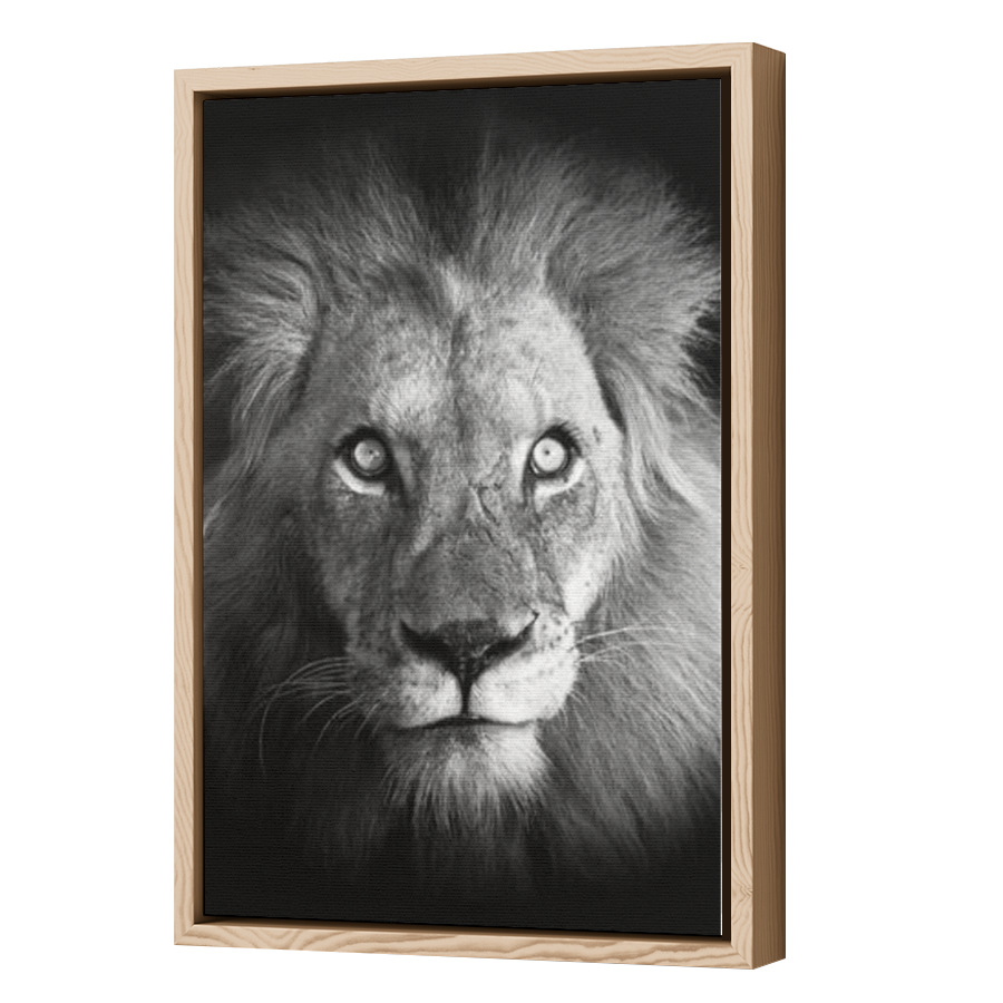 Thumbnail for Canvas - Wood Grain Floating Frame