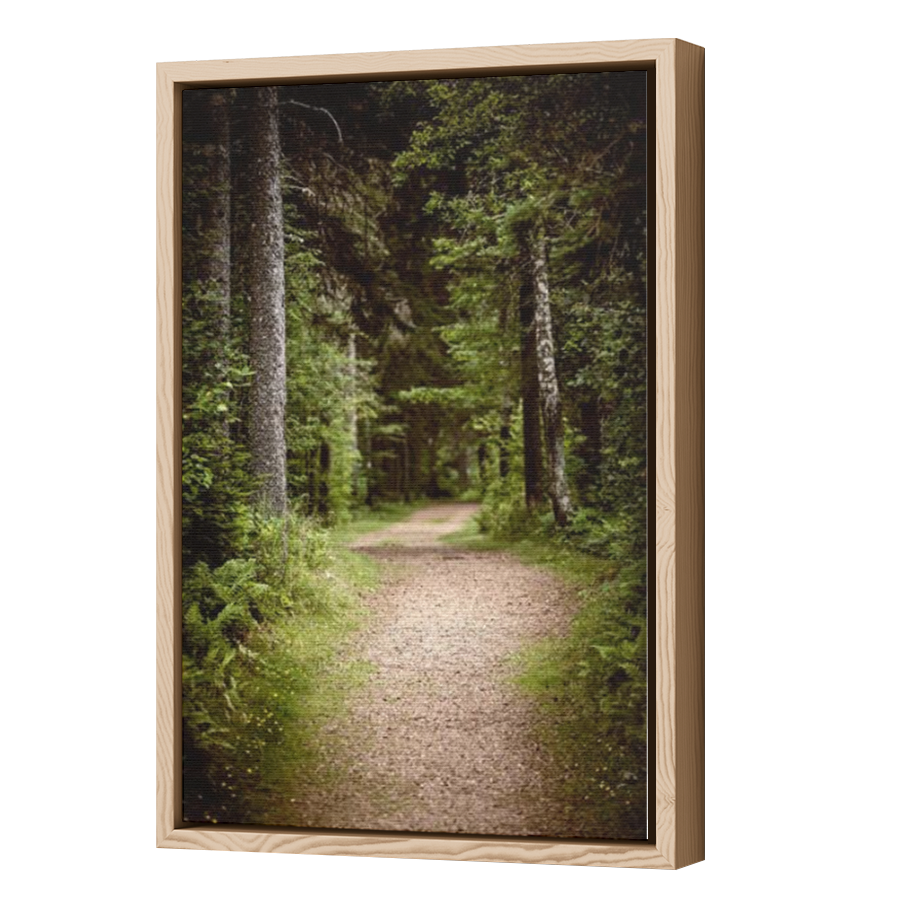 Thumbnail for Canvas - Wood Grain Floating Frame