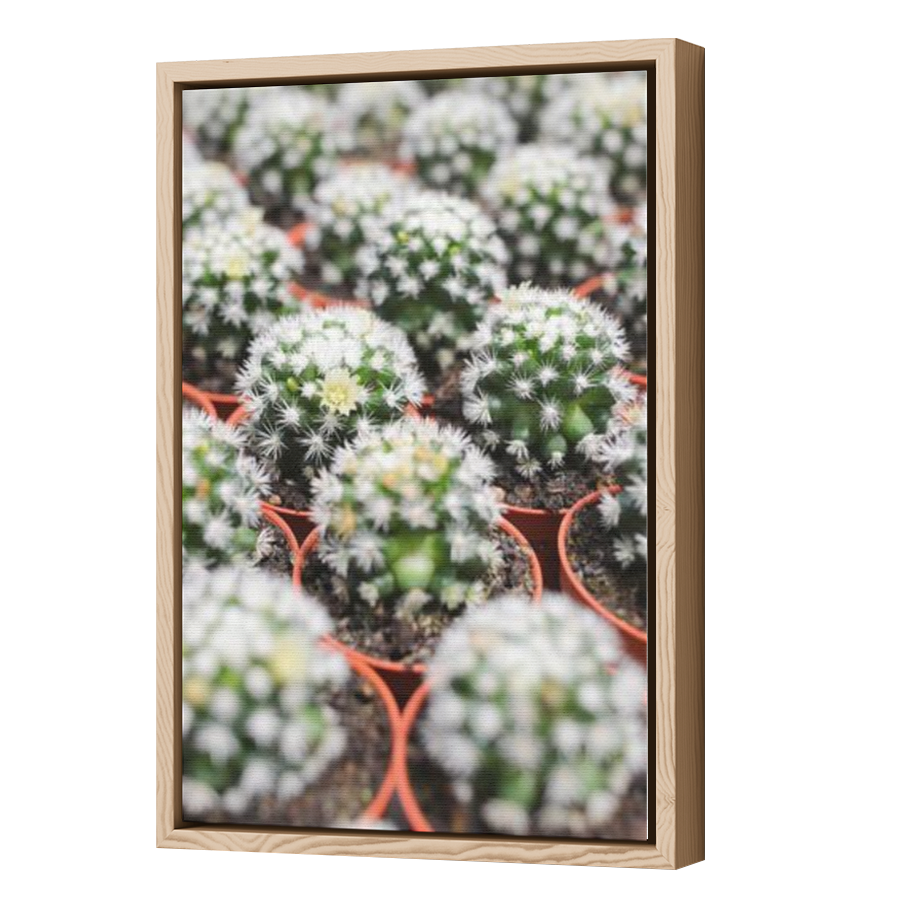 Thumbnail for Canvas - Wood Grain Floating Frame