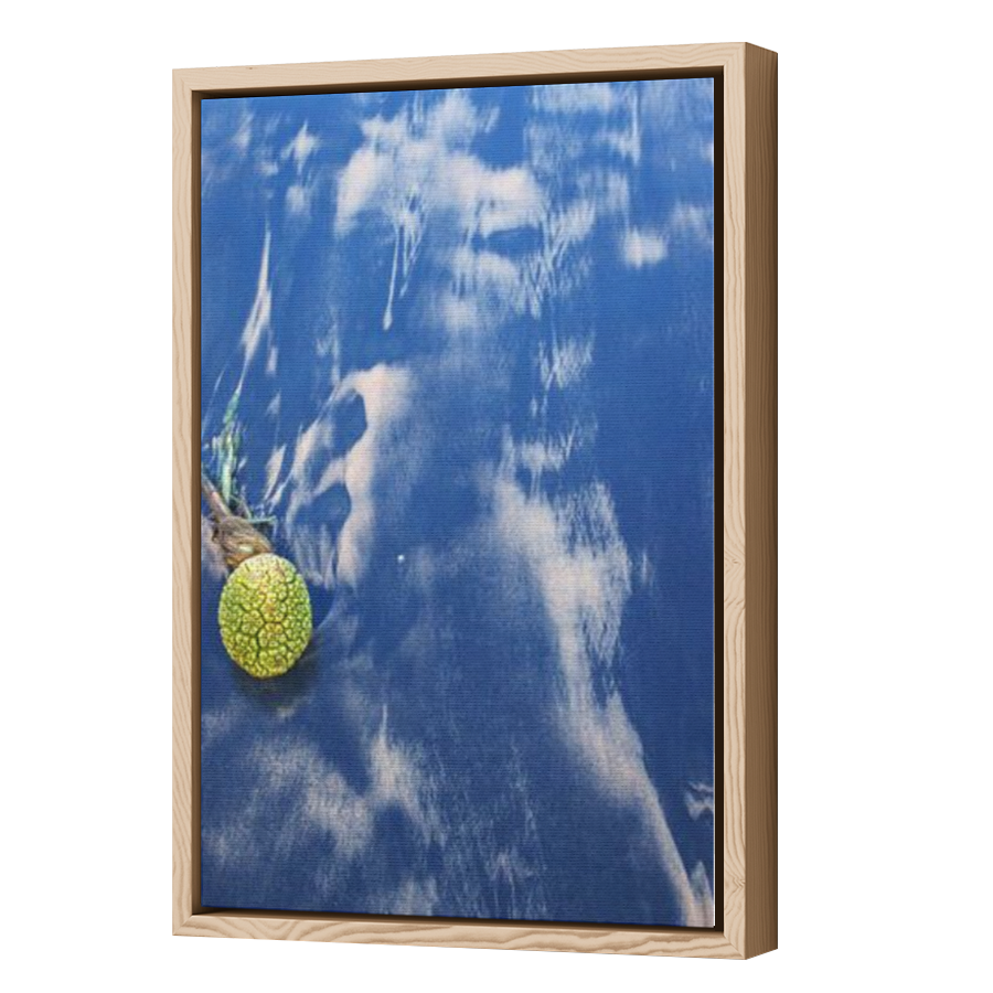 Thumbnail for Canvas - Wood Grain Floating Frame