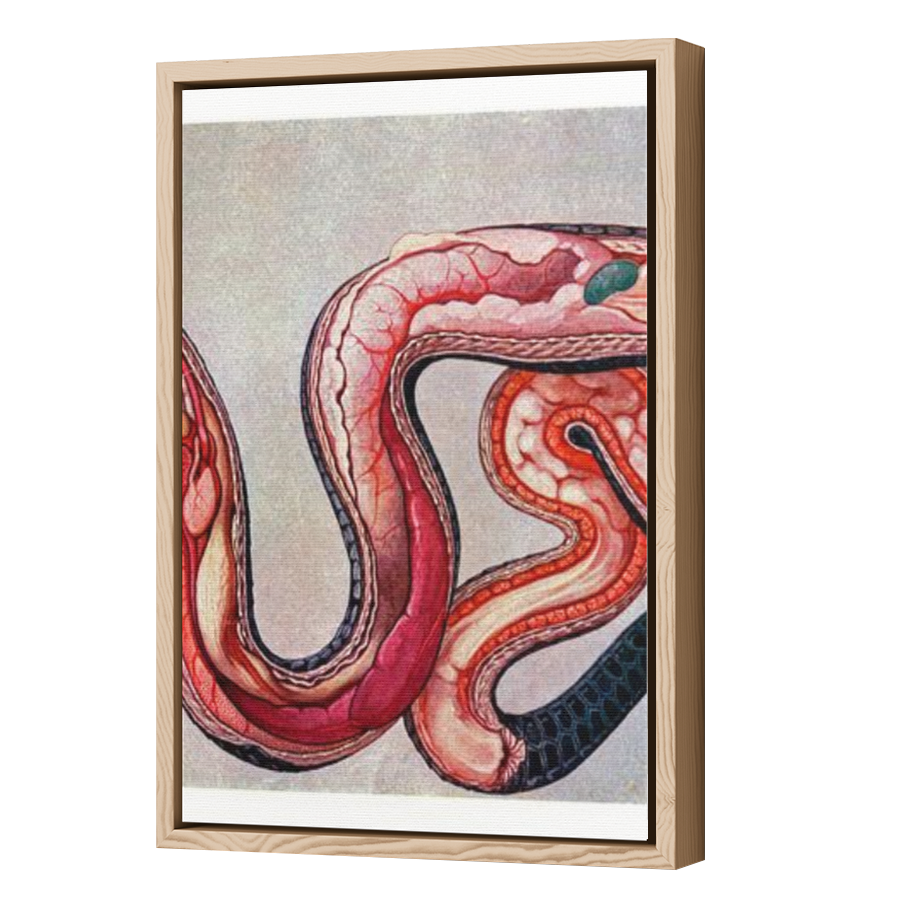 Thumbnail for Canvas - Wood Grain Floating Frame