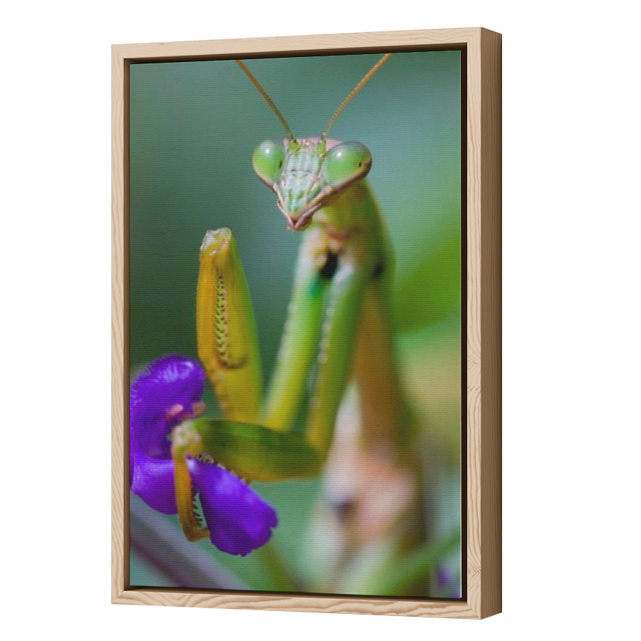 Thumbnail for Canvas - Wood Grain Floating Frame