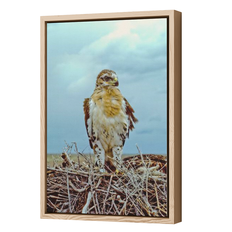 Thumbnail for Canvas - Wood Grain Floating Frame