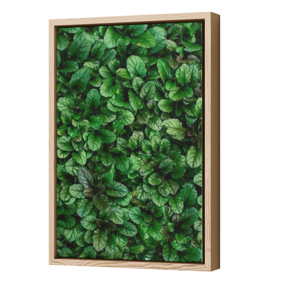 Thumbnail for Canvas - Wood Grain Floating Frame