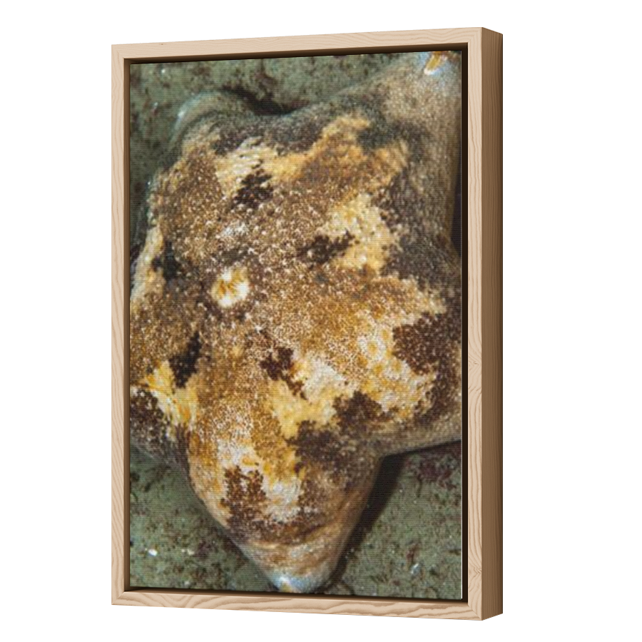 Thumbnail for Canvas - Wood Grain Floating Frame