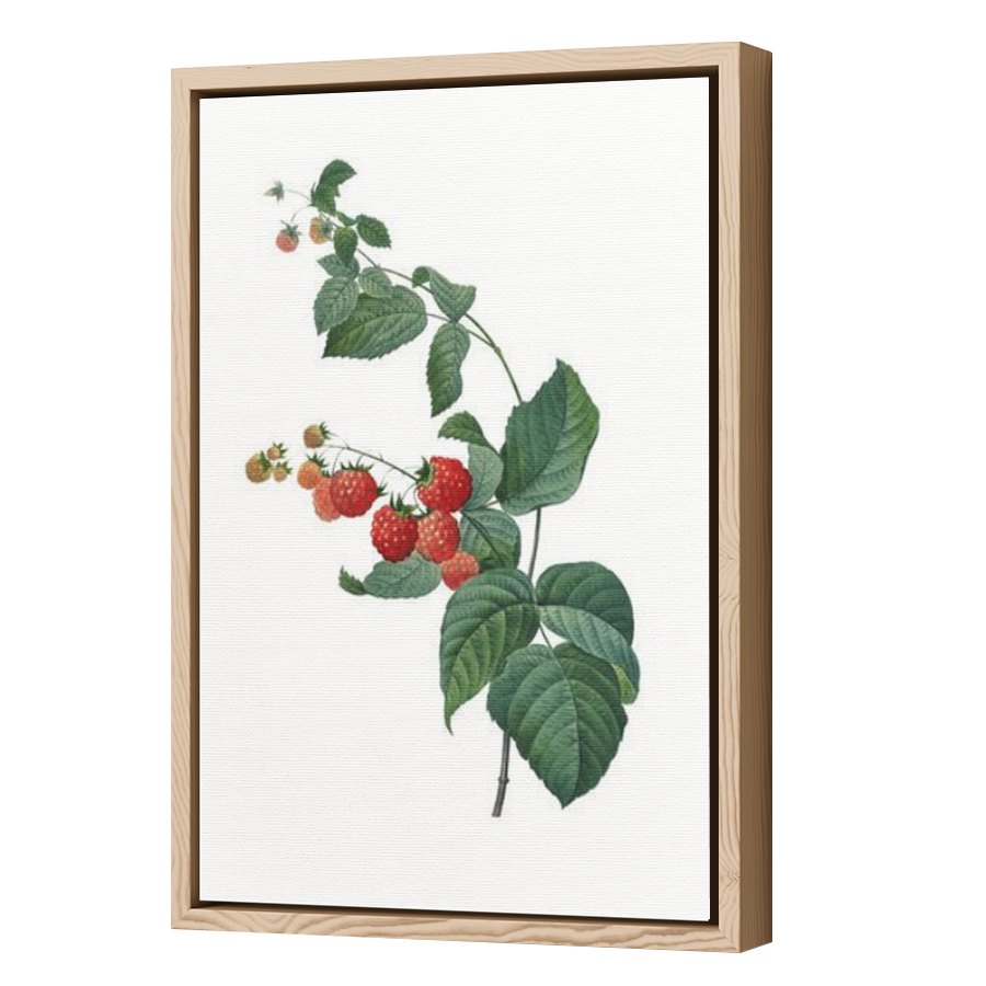 Thumbnail for Canvas - Wood Grain Floating Frame