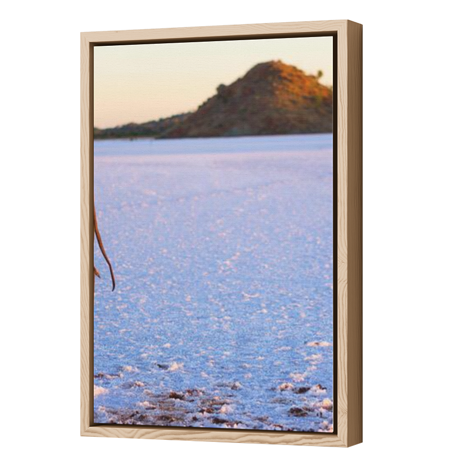 Thumbnail for Canvas - Wood Grain Floating Frame