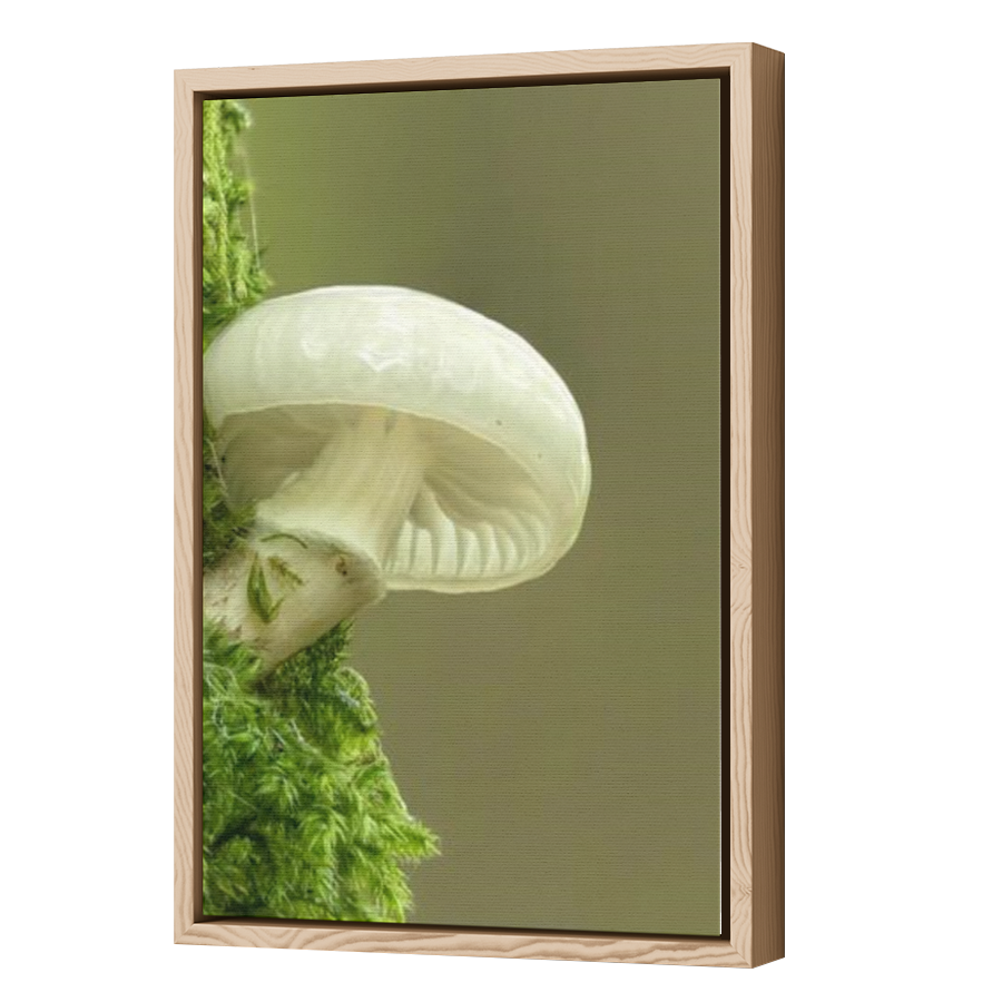 Thumbnail for Canvas - Wood Grain Floating Frame