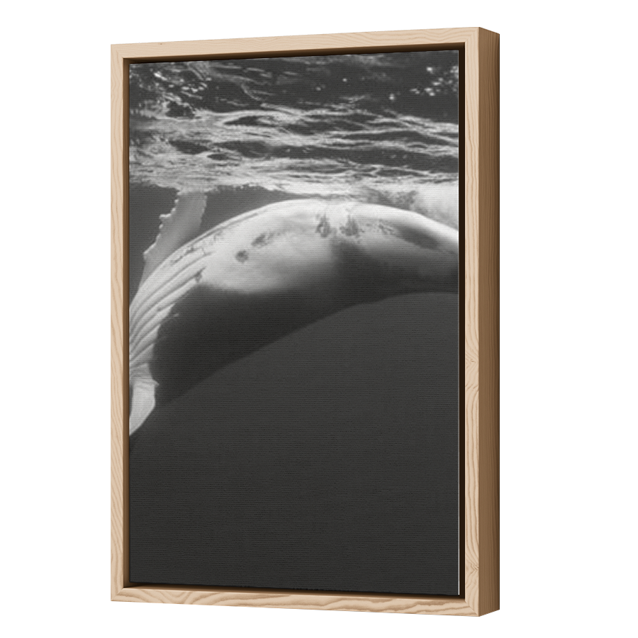 Thumbnail for Canvas - Wood Grain Floating Frame
