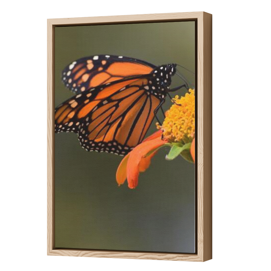 Thumbnail for Canvas - Wood Grain Floating Frame