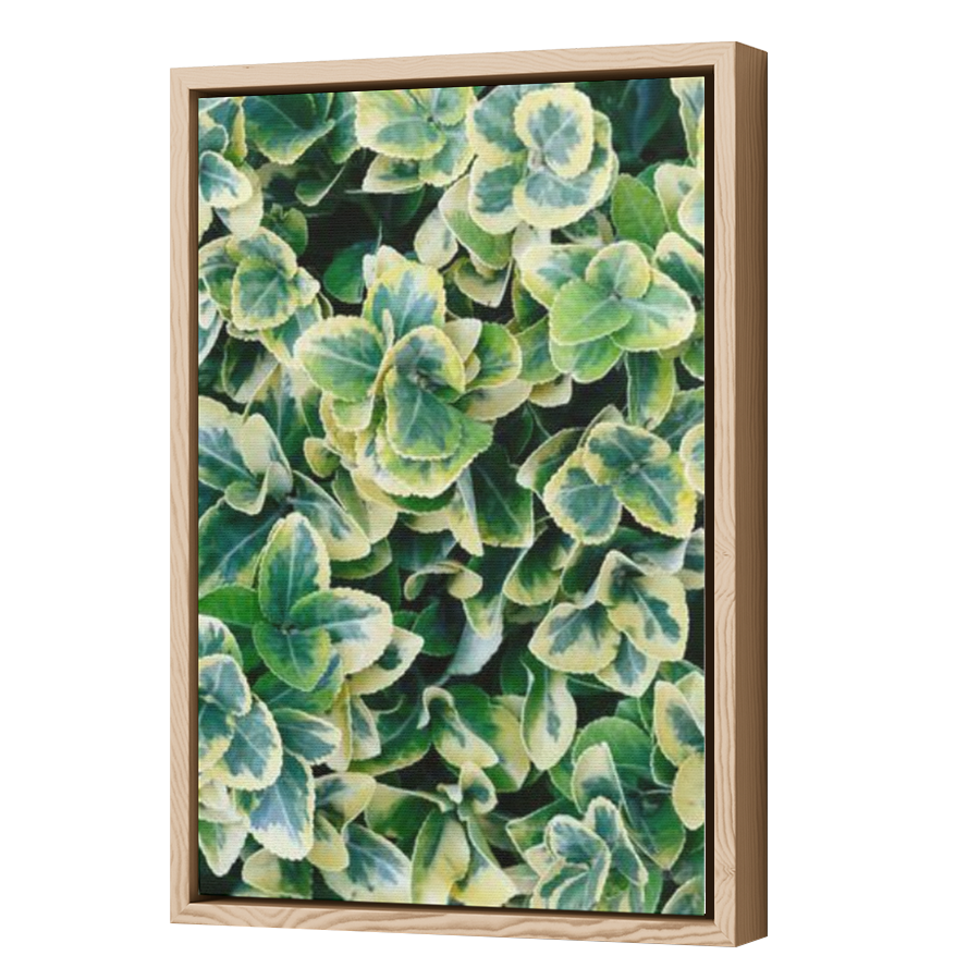 Thumbnail for Canvas - Wood Grain Floating Frame
