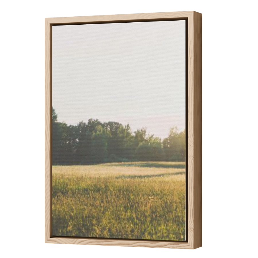 Thumbnail for Canvas - Wood Grain Floating Frame
