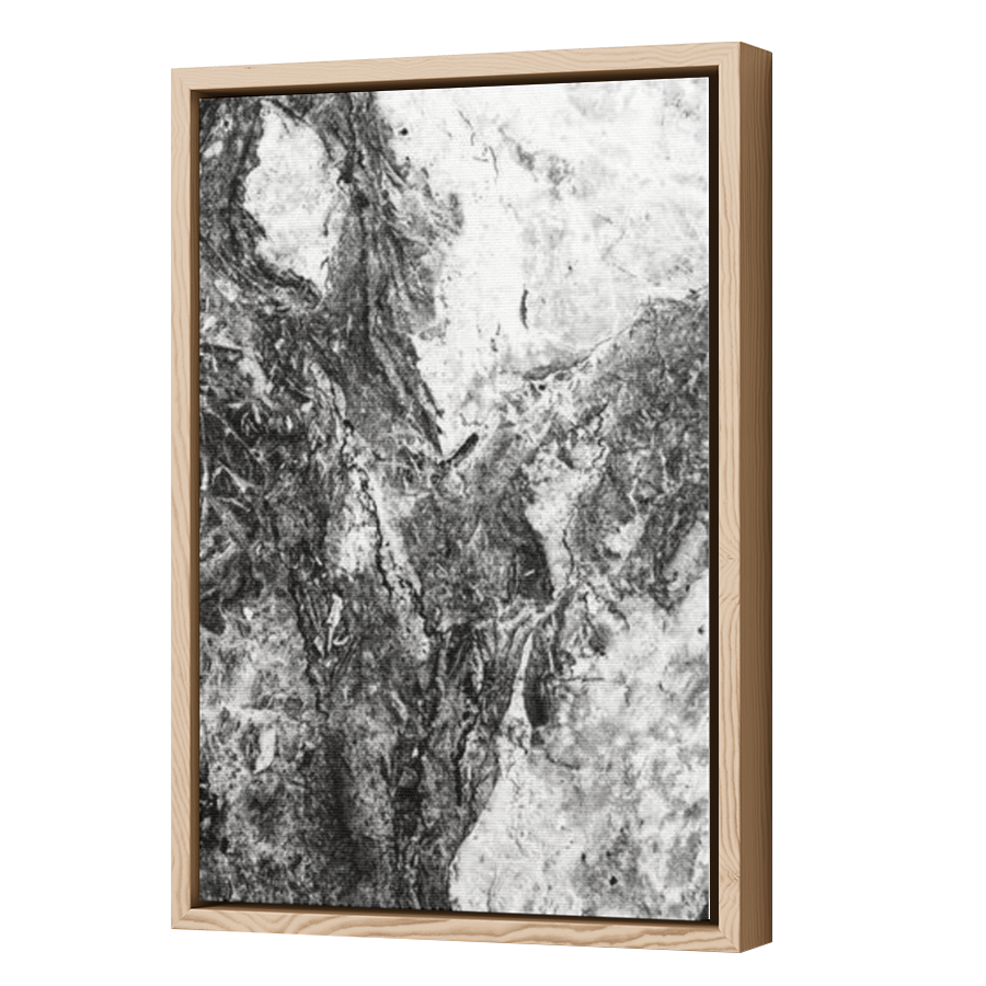 Thumbnail for Canvas - Wood Grain Floating Frame